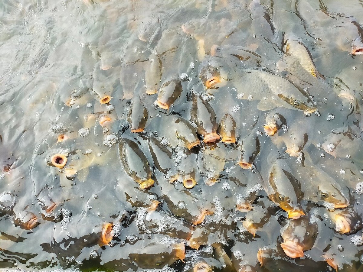 🐑 지구의 꿈 카쿠야마 농장 - 톤덴 팜 이미지 1